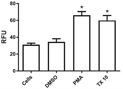 Tamoxifen triggers the in vitro release of neutrophil extracellular traps in healthy horses